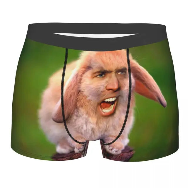 Nicolas Cage Cat Meme Boxer Shorts For Homme 3D Print Underwear Panties Briefs Soft Underpants eprolo