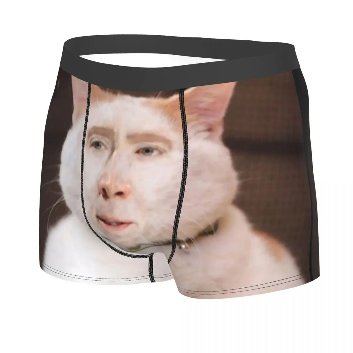 Nicolas Cage Cat Meme Boxer Shorts For Homme 3D Print Underwear Panties Briefs Soft Underpants eprolo