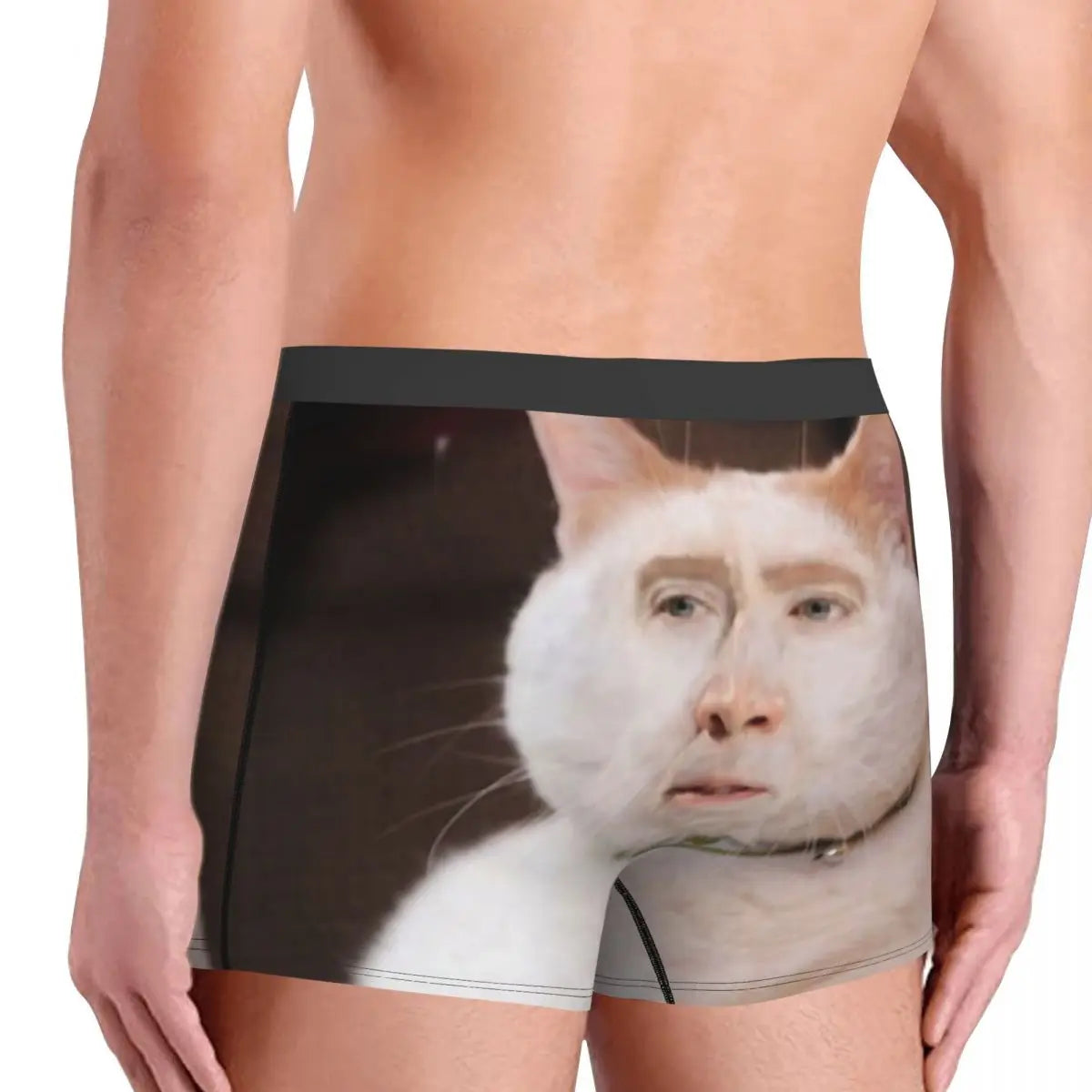 Nicolas Cage Cat Meme Boxer Shorts For Homme 3D Print Underwear Panties Briefs Soft Underpants eprolo