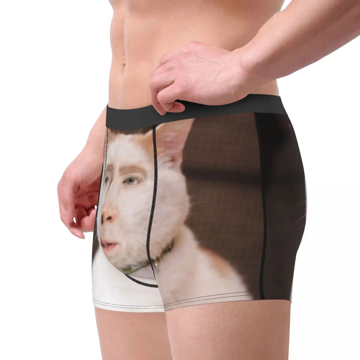 Nicolas Cage Cat Meme Boxer Shorts For Homme 3D Print Underwear Panties Briefs Soft Underpants eprolo